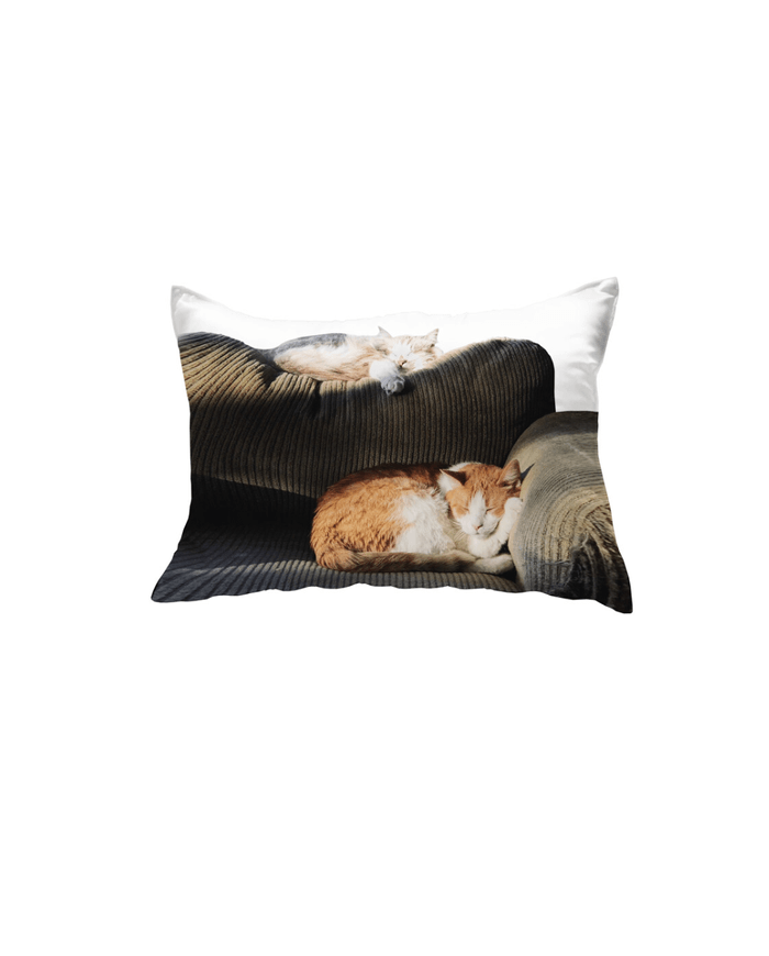 46MONTH Sofa Cat Pillow Cover - somibeya