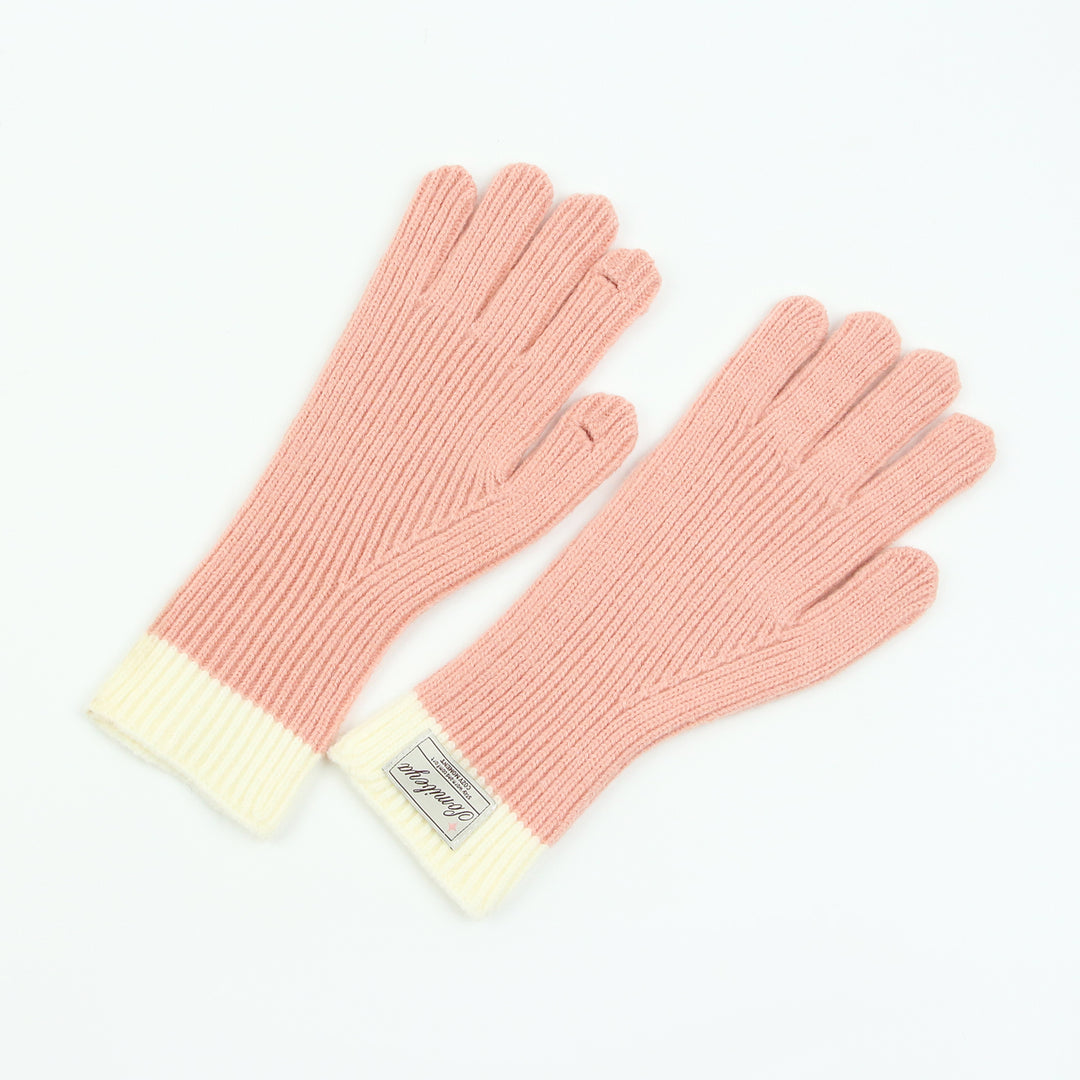 手袋 冬 スマホ対応 レディース 男女兼用 glove