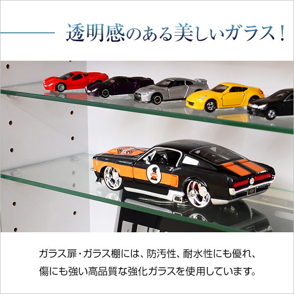 コレクションラック【-Luke-ルーク】浅型ハイタイプ