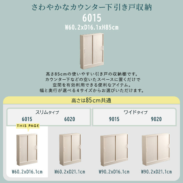 さわやかなカウンター下引き戸収納6015