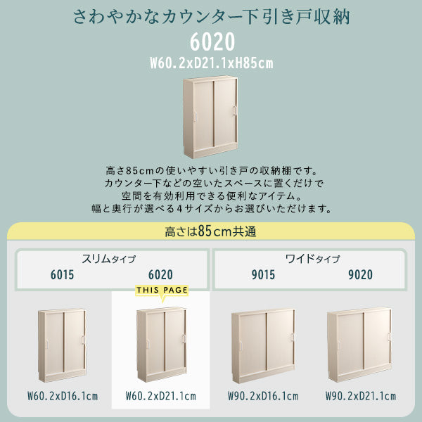 さわやかなカウンター下引き戸収納6020