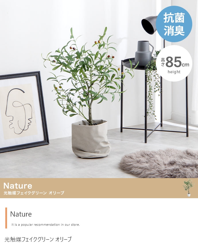 Nature 光触媒人工観葉植物 オリーブ 高さ85cm