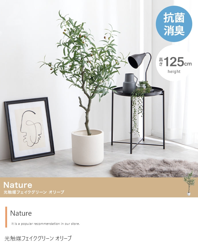 Nature 光触媒人工観葉植物 オリーブ 高さ125cm