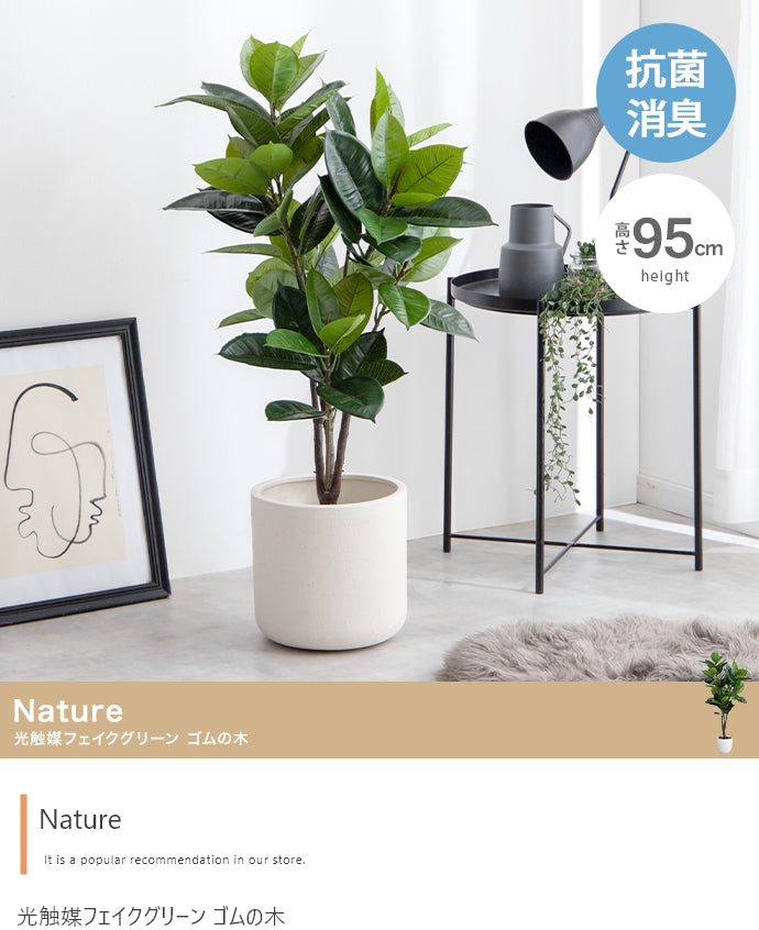 Nature 光触媒人工観葉植物 ゴムの木 高さ95cm