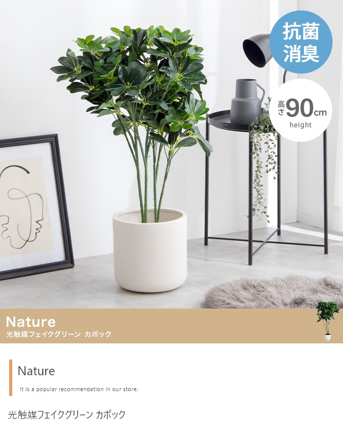 Nature 光触媒人工観葉植物 カポック 高さ90cm