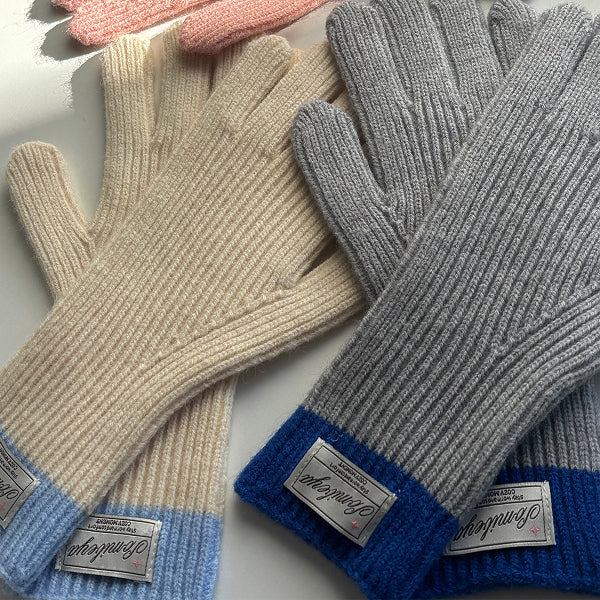 手袋 冬 スマホ対応 レディース 男女兼用 glove