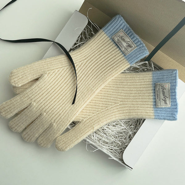 手袋 冬 スマホ対応 レディース 男女兼用 glove