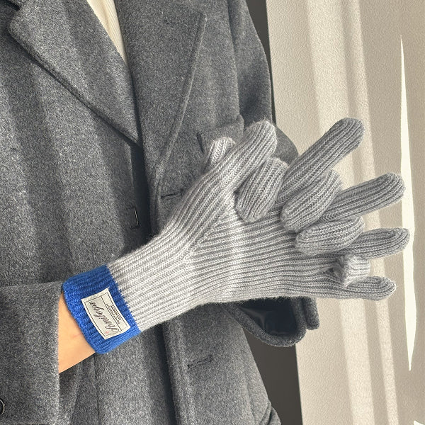 手袋 冬 スマホ対応 レディース 男女兼用 glove