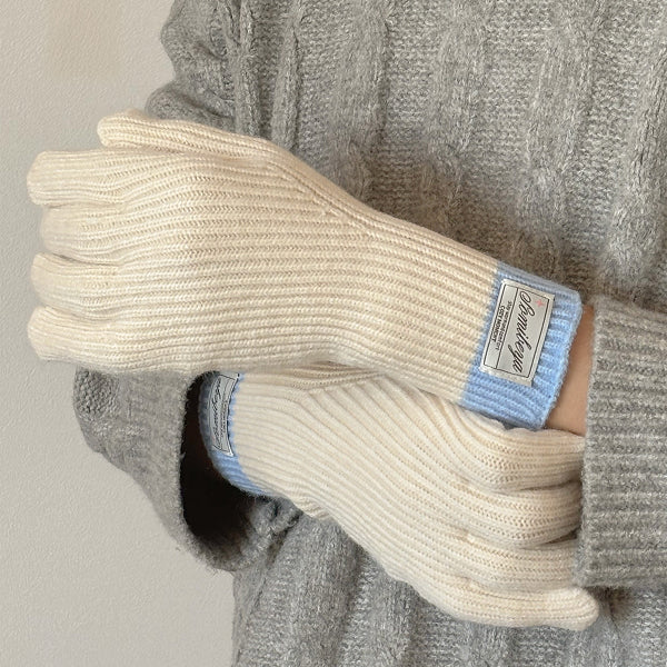 手袋 冬 スマホ対応 レディース 男女兼用 glove