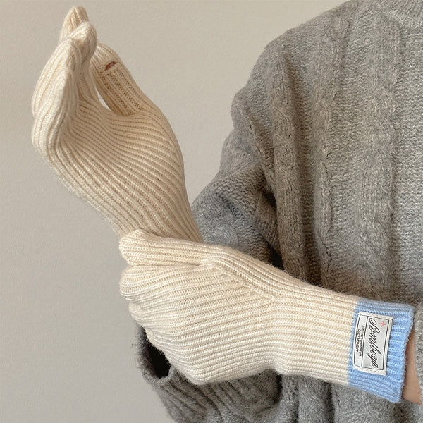 手袋 冬 スマホ対応 レディース 男女兼用 glove