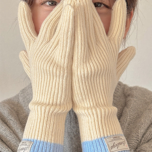 手袋 冬 スマホ対応 レディース 男女兼用 glove