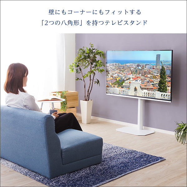 八角テレビスタンド専用 ハードディスクホルダーセット