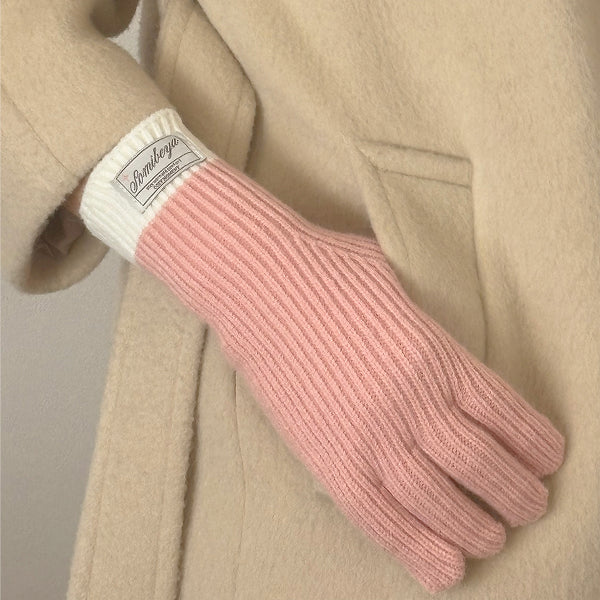 手袋 冬 スマホ対応 レディース 男女兼用 glove