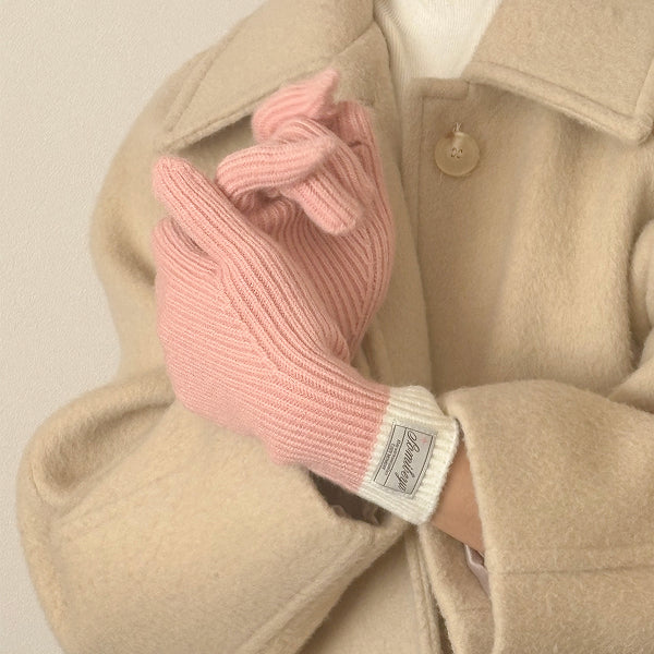 手袋 冬 スマホ対応 レディース 男女兼用 glove