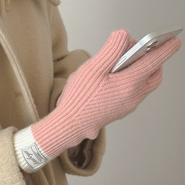 手袋 冬 スマホ対応 レディース 男女兼用 glove